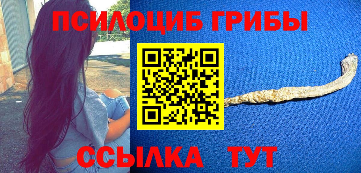 Усть-Джегута  Галлюциногенные грибы GOLDEN TEACHER  Вход с VPN 